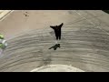 DC SHOES: GYMKHANA FOUR-BONUS EDIT