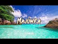 🔥🌴 MAJÓWKA 2024🌴🔥😈 NAJLEPSZE POLSKIE NUTKI W REMIXACH 😈🔥✔MUZYKA DO AUTA✔🌴DJ KSON🌴