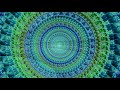 Terence McKenna On Fractals