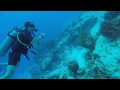 POV Diving - Parede Cedral - Cozumel - México
