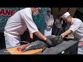 60KG BLUEFIN TUNA CUTTING!! - Chef Otsuka Kenji of Sushi Yoshi | Japanese Seafood Fest 2024 Lalaport