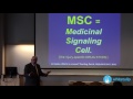 Mesenchymal Stem Cells and Regenerative Medicine