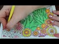 ASMR Entangled Dragonflies Coloring Book 27