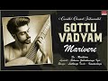 Carnatic Classical Instrumental | Gottu Vadyam | Marivere | By Ravikiran