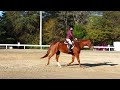 2015-11-22 River Bend Hunter Show