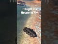 I Taught my Hetzer Tank to Fly