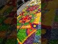 Making Lent Carpets         Santa Ana, Guatemala 2022