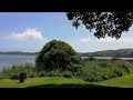 Pauatahanui Inlet, Wellington, New Zealand 20191102