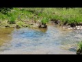 25 inch Brown trout on a hares ear with a 3wt