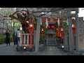 Kyoto at Night-Cherry Blossom & Food Festival 4K60fps (Binaural Audio:ASMR)
