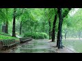 Rain Sound On Window with Thunder SoundsㅣHeavy Rain for Sleep, Study and Relaxation, Meditation,ASMR