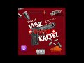 Best of Vybz Kartel (Strictly Gun Tune)