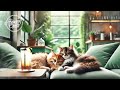 Healing Piano Jazz Work BGM Cafe Healing Relaxing Bossanova chill【Relaxing Cat Chord】