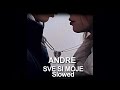 ANDRE▶SVE SI MOJE  {Slowed}