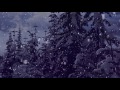 Snow Falling Motion Effect - Christmas  Background Video
