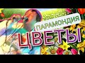 ПАРАМОНДИЯ - ЦВЕТЫ #punk #панкрок #music