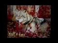 Jordi Ortolá Ankum - Wolf's eyes [Chillout music]