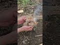 Bow Drill Friction Fire 🔥