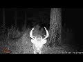 Someone don't care for the trail cam