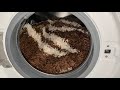 Stress test: HEAVIER carpet in Samsung washing machine!