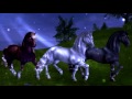 Star Stable - Something Wild