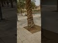 A Trip to Wadi Namar in Riyadh رحله الى وادي نمار في الرياض روعه جمال المنظر