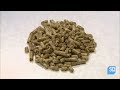 How It's Made: Wood Pellets