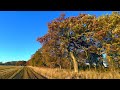 Autumn, Edinburgh - Music Video - Luray, On Fire