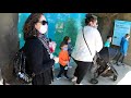 Turtle Back Zoo Tour New Jersey 2021 4K