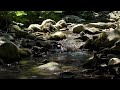 Relaxing Water Sounds|Water Sound for Studying|Water Sound for Meditation|Water Sound for Sleep Baby
