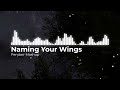 Naming Your Wings (Pendarr Mashup)