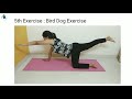 Physiotherapy exercises for disc bulge | Disc Herniation exercises | Sciatica pain relief exercises
