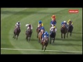 2016 COX PLATE - Winx