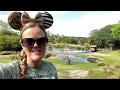 Private Safari at Animal Kingdom - Savor the Savannah -  Walt Disney World 2022