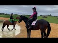 HUGE FALL ON YOUNG HORSE! | WITH 5* TRAINER NICK GAUNTLETT || VLOG 79
