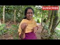 SPICE Plantation Tour || KERALA SPICE GARDEN Tour || THEKKADY || Plan and Travel Kumar Saurav