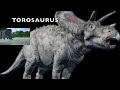 Torosaurus - Species Profile