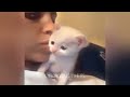You Laugh You Lose Dogs And Cats 😂 Best Funniest Catss Video 2024 🐕😹