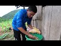 Lunch of Grilled Chicken on the Family's Corn Field, Picnic with Daughter | Family Farm