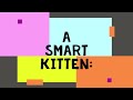 A Smart Kitten: No Conflict! (comedy mini series season1)