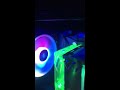 Corsair LL120 RGB Fan issue with 3rd fan having half led lights not working