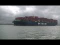 Containership HMM Hanbada salute SS Shieldhall 30 07 2023
