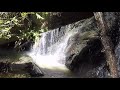 Russian Gulch Fern Canyon and Waterfall  Hike Up to 4K