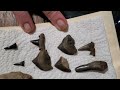 #39 Arrowhead Hunting Texas! New creek and killer finds.