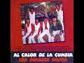Mix Cumbias: Don José / Luchita/ Silbando/ Al Calor de la Cumbia/ Viento/ La Bolita/ La...