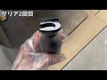 【塗装】面倒な下地処理なし！缶スプレーでエンブレム塗装　グロスブラックで質感アップ　CX-5