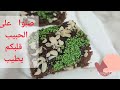 بسبوسة 🍫 بيضة واحدة 🥚 مشربة 👌 و النتيجة أكثر من رائعة 🇩🇿🇩🇿🇩🇿