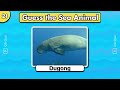 Guess 25 Sea Animals in 3 Seconds 🐬🦑  | Guess The Animal quiz!