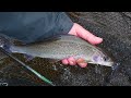 Grayling fishing Dkye Run on the Welsh Dee