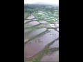 India's Tallest Waterfall - Vajrai